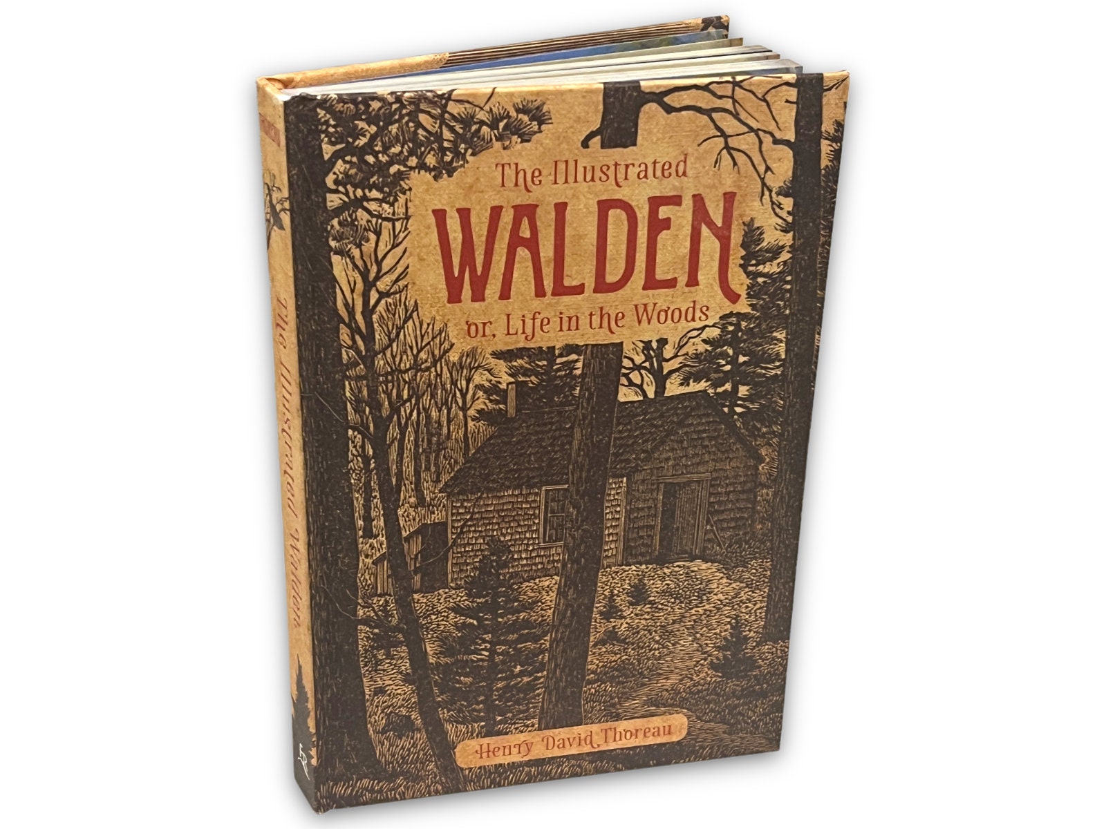 ILLUSTRIERTE WALDEN oder Leben im Wald von Henry David Thoreau Sammler Deluxe Edition - Hardcover - Bestseller - Klassiker