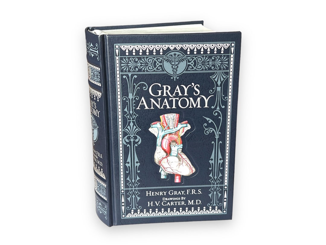 GRAY'S ANATOMY Henry Gray - Collectible Deluxe Special Gift Edition