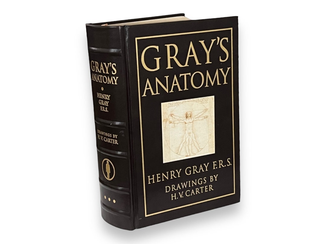 GRAY'S ANATOMY Henry Gray - Collectible Deluxe Special Gift Edition