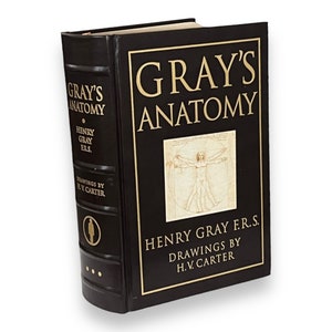 GRAY'S ANATOMY Henry Gray - Collectible Deluxe Special Gift Edition - ILLUSTRATED Leather Bound Hardcover - Classic Book - B&N 1995