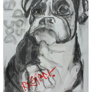 Boxer dog #5