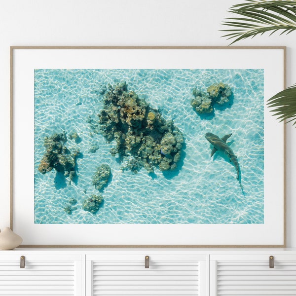 Shark Drone Print, Ocean Drone Print, Aerial poster, Ocean Wall Decor, Shark Art, Shark Gifts, Coastal Decor, Tropical Wall Art,