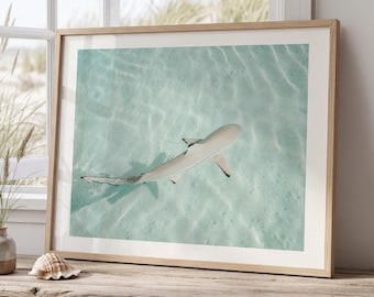 Minimalist Coastal Prints, Pastel Beach Wall Art, Boho Coastal Photography, Ocean Digital Poster, Shark Print, Printable Wall Art