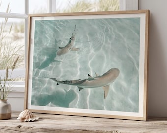 Minimalist Coastal Wall Art, Shark Ocean Photography Print, Neutral Beach Decor, Tropical Tahiti Printable, Coastal Bathroom Decor