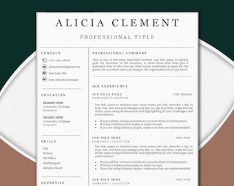 Minimalist Professional Resume Template for Word & Google Docs, Resume Template, Clean Modern Executive Resume Template 2023, CV Template AC
