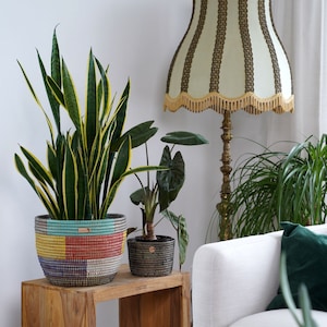 Peut inclure: Une table d'appoint en bois avec deux plantes en pot. Les plantes sont dans des paniers tissés colorés. La table est devant un canapé blanc avec un coussin de jet vert.