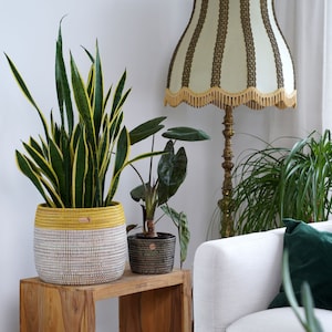 Può includere: Un vaso da fiori intrecciato bianco e giallo con una pianta serpente verde, un vaso da fiori intrecciato nero con una pianta verde e un tavolino di legno. Un divano bianco con un cuscino verde è sullo sfondo.