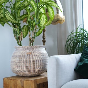 Stor afrikansk växtkorg – Kaduna-korg (vit) – ca 30 x 40 cm – flätad av savanngräs – för växter eller som dekorativ korg