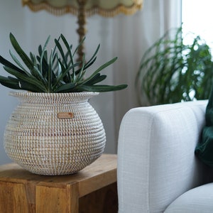 Cesta africana para plantas – Cesta Kwame (blanca) – aprox. 20 x 20 cm – tejida con hierba de la sabana africana – para plantas o como cesta decorativa imagen 6