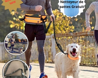 Laisse mains libres pour chien avec sac de taille, ceinture élastique rétractable, course, marche, chien, produits pour animaux de compagnie