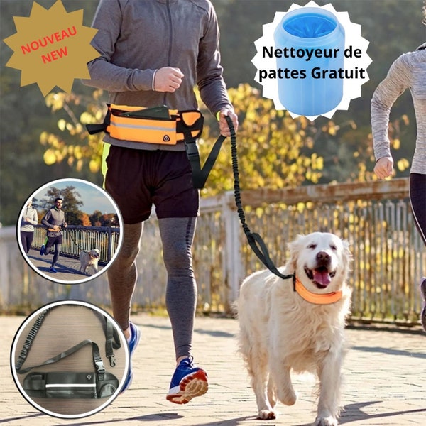 Laisse mains libres pour chien avec sac de taille, ceinture élastique rétractable, course, marche, chien, produits pour animaux de compagnie