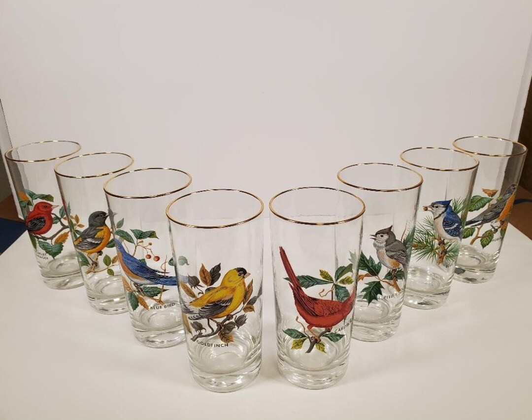 Vintage Bird Drinking Glasses With Gold Rim Set of 8 West Etsy