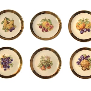 Antique/Vintage Czechoslovakia Fruit Plates SET OF 6 Gild-Rimmed White Porcelain, Fruit Design Snack Plates, Haas and Czjzek Bohemia Plates