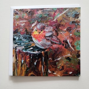 Dikke Roodborst
