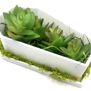 Coffin Planter With Drainage | 3D Printed | Coffin Planter | Succulent Planter | Flower Planter