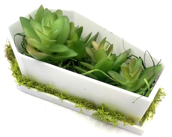 Sargpflanzer mit Drainage | 3D-gedruckt | Sargpflanzer | Sukkulenten Übertopf | Blumenpflanzer