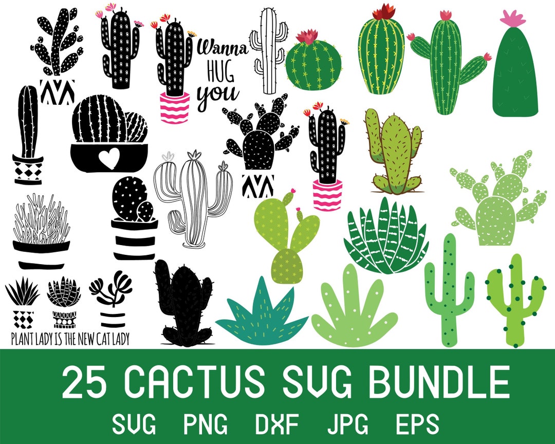 Cactus Svg Succulent Svg Cactus Clipart Cactus Print Svg - Etsy