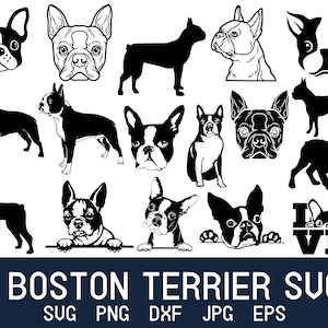 Boston Terrier Svg, Dog Mom Svg, Bulldog Svg, Boston Terrier Gifts, Dog Face Svg, Dog Lover Svg, Dog Svg, Digital Download Svg, Svg Png Jpeg