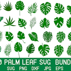 Palm Leaf Svg, Palm Tree Svg, Monstera Leaf Svg, Fall Leaves Svg, Tropical Leaves Svg, Jungle Leaves Svg, Palm Tree Leaves, Leaf Svg