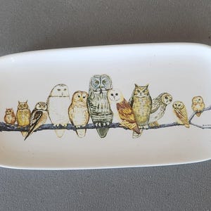 May include: A rectangular white ceramic serving platter featuring a hand-painted design of eleven owls perched on a brown branch. The owls vary in size and color, with details in brown, yellow, and gray.