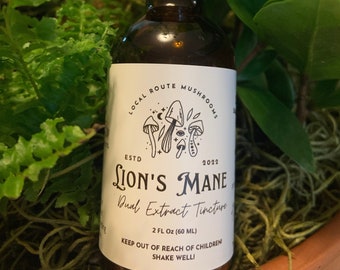 Lion's Mane Dual Extract Tincture