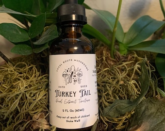 Turkey Tail Dual Extract Tincture