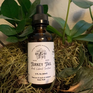 Turkey Tail Dual Extract Tincture