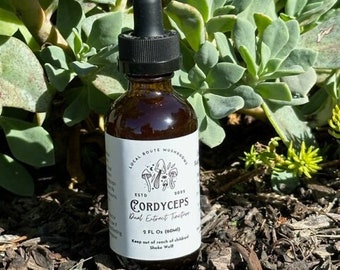 Cordyceps Dual Extract Tincture