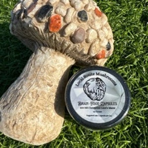 Extracted Lion&#39;s Mane Capsules