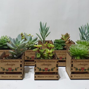 May include: A set of 8 small wooden planter boxes with succulents. Each box has a different succulent and a personalized message that says "Ellerimi hic birakma Annecigim" which translates to "Never let go of my hands, Mom". The boxes are decorated with a heart and the date "Mayıs 14 2023".