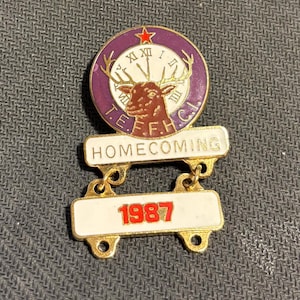 Vintage 1987 TEXAS ELKS  Lapel Pin, T.E.F.F.H.C.I., HOMECOMING Elk Lodge, Elkettes, Golden Metal Enamel Jewelry, Fraternal, Elk, 1980&#39;s