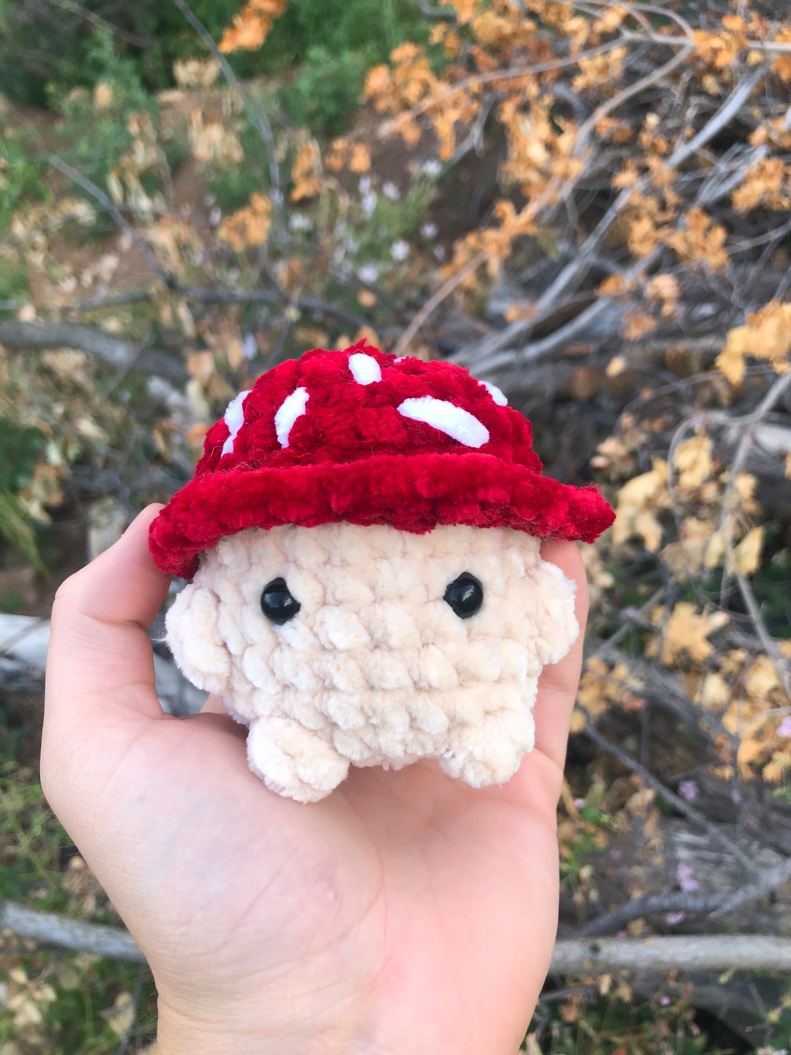 Custom Crochet Mushroom Boi Mini Made to Order CHUNKY & Etsy