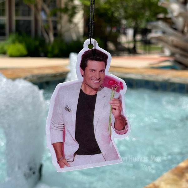 Chayanne car air freshener | Dia de las Madres | Mother’s Day | father’s day | Lavender Scent | Latinx latino, Hispanic, Mexican fresheners