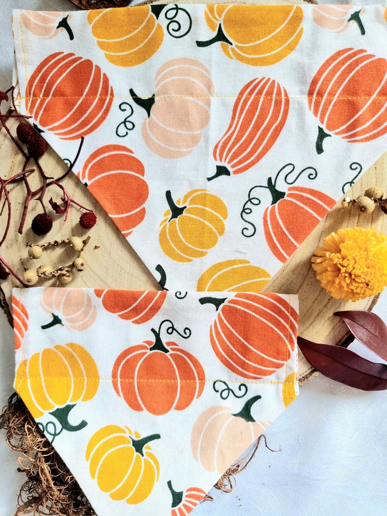 Autumn Pumpkins Dog/pet Bandana. Last Few. When They're Gone, They're