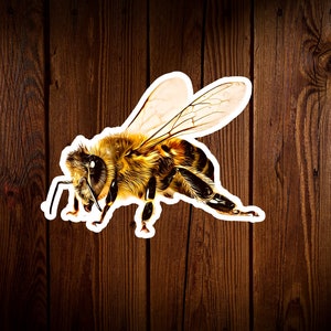 Bee Sticker, Flying Bee Decal, Bumble Bee Sticker, Queen Bee, Bug Sticker, Honeybee Sticker, Beehive, Garden, Vinyl Gloss Die Cut Sticker