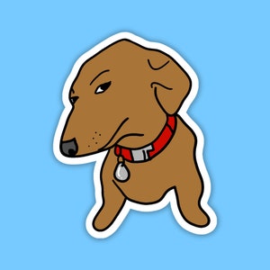 Side Eye Sticker, Side Eye Dog, Bombastic Side Eye Sticker, Bombastic Side Eye Dog Sticker, Meme Sticker, Dog Sticker, Weirdcore