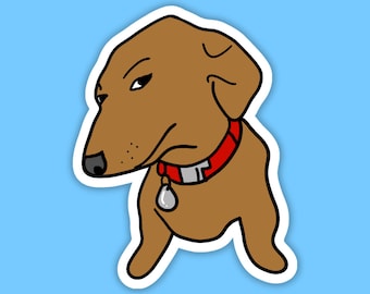 Side Eye Sticker, Side Eye Dog, Bombastic Side Eye Sticker, Bombastic Side Eye Dog Sticker, Meme Sticker, Dog Sticker, Weirdcore