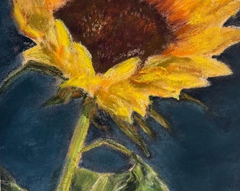 Sunflower, an original soft pastel painting by C.L. Russo