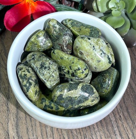 Serpentine/ Tumbled/ Meditation/ All Zodiacs/ Spiritual
