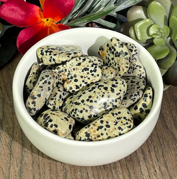 Dalmatian Jasper /Tumbled/Positivity/Protection/Loyalty
