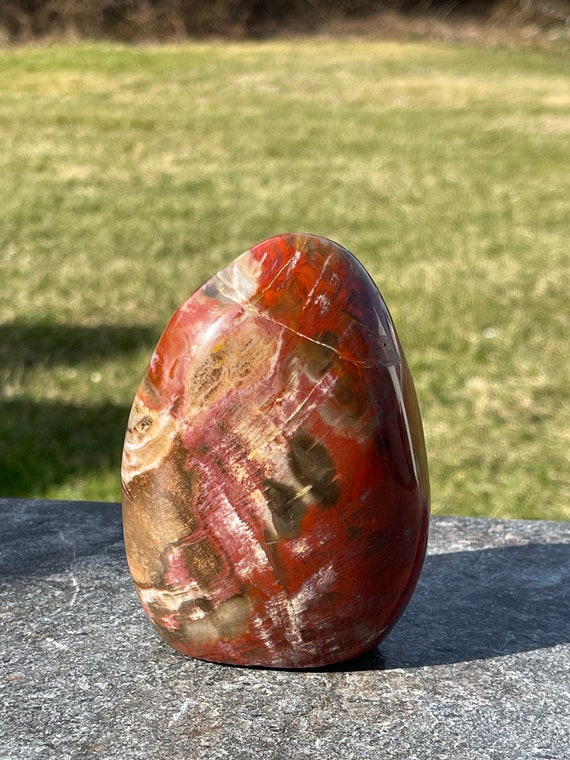 Petrified Wood Free Form