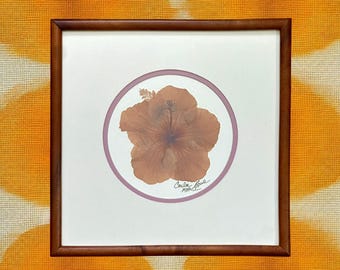 Framed Preserved Hibiscus Flower by Carla Rose, Maui, Tropical Decor, Floral Art