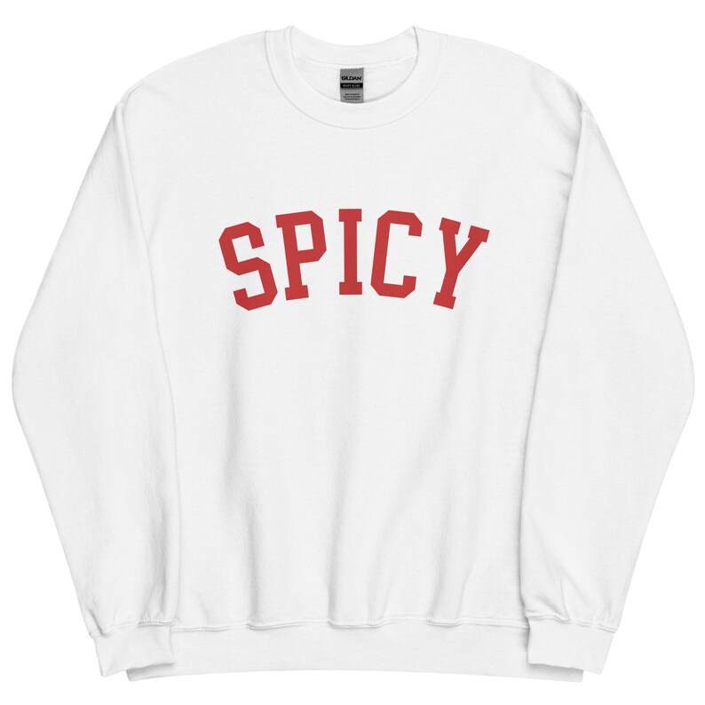 Spicy Sweatshirt, Funny Sweatshirt, Meme Crewneck, Trendy Sweatshirt, Girlfriend Gift, Boyfriend
