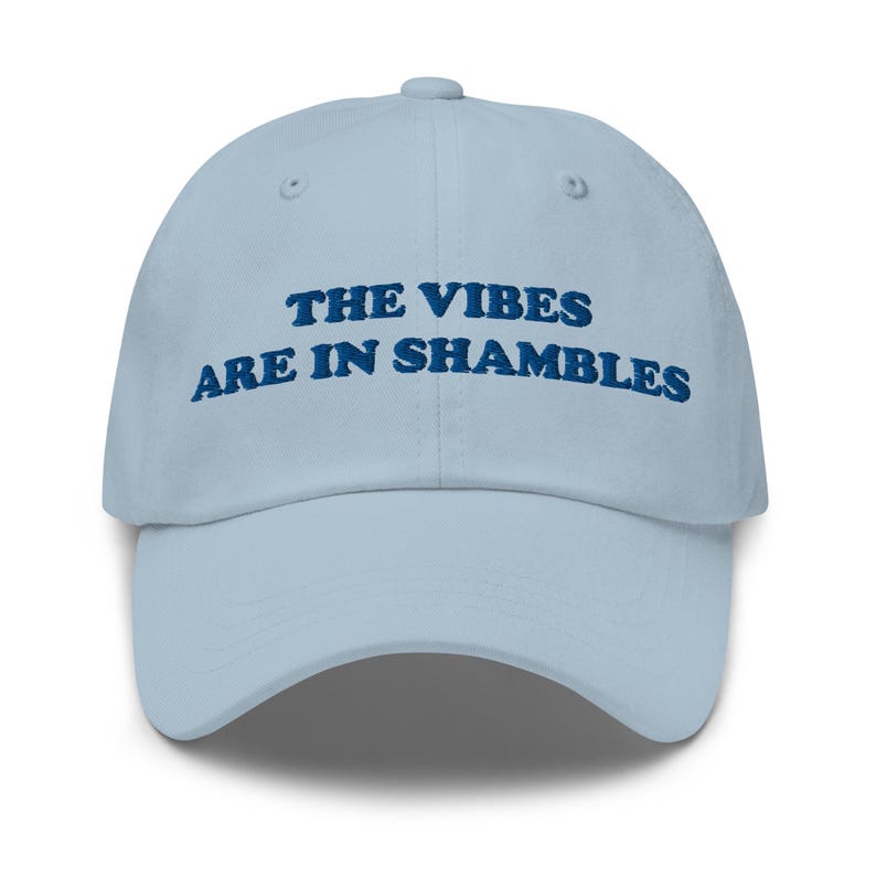 The Vibes Are In Shambles, Funny Hat, Weird Hat, Meme Hat, Cute Hat, Embroidered Hat, Friend Gift