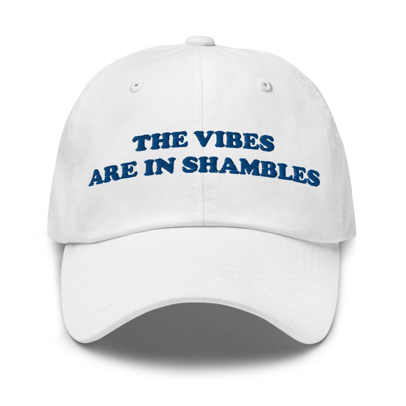 The Vibes Are In Shambles, Funny Hat, Weird Hat, Meme Hat, Cute Hat, Embroidered Hat, Friend Gift