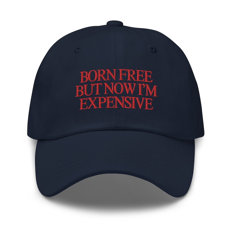 Born Free But Now I’m Expensive, Fourth of July Hat, Funny Hat, 4th of July Hat, America Hat, USA Hat, Americana Hat, Patriotic Hat