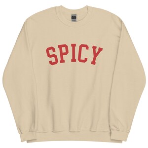 Spicy Sweatshirt, Funny Sweatshirt, Meme Crewneck, Trendy Sweatshirt, Girlfriend Gift, Boyfriend