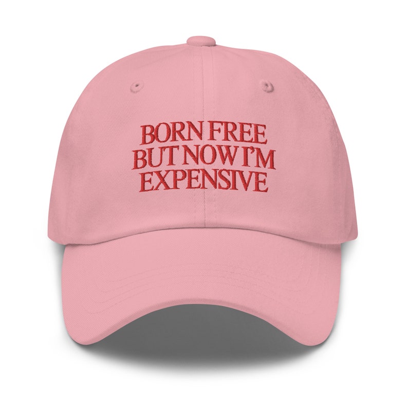 Born Free But Now I’m Expensive, Fourth of July Hat, Funny Hat, 4th of July Hat, America Hat, USA Hat, Americana Hat, Patriotic Hat