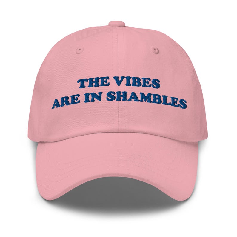 The Vibes Are In Shambles, Funny Hat, Weird Hat, Meme Hat, Cute Hat, Embroidered Hat, Friend Gift