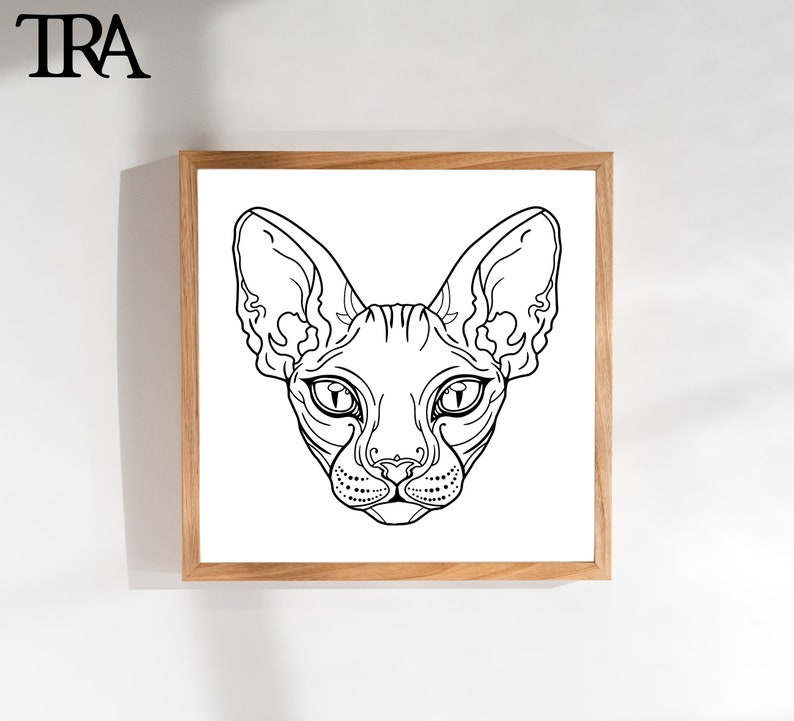 May include: A black and white line drawing of a Sphynx cat's head. The cat has large, round ears and a wrinkled face.